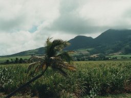 200303-a-st kitts